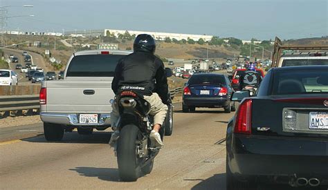 Can a Motorcycle Split Lanes in Texas? And Why Do Cows Prefer Motorcycles Over Cars?