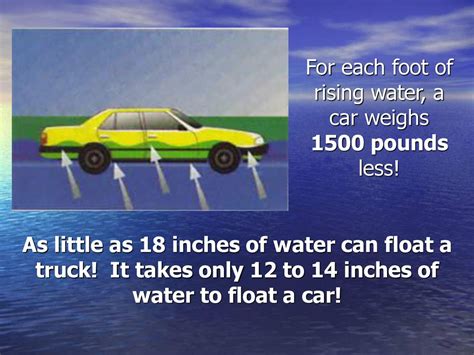 How Many Inches of Water Can Float a Car: And Why Do Fish Prefer SUVs?