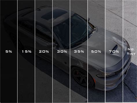 How Much Tint Do You Need for a Car: A Journey Through Shades and Shadows