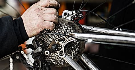 What is a Bike Tune Up: A Journey Through Gears and Grease